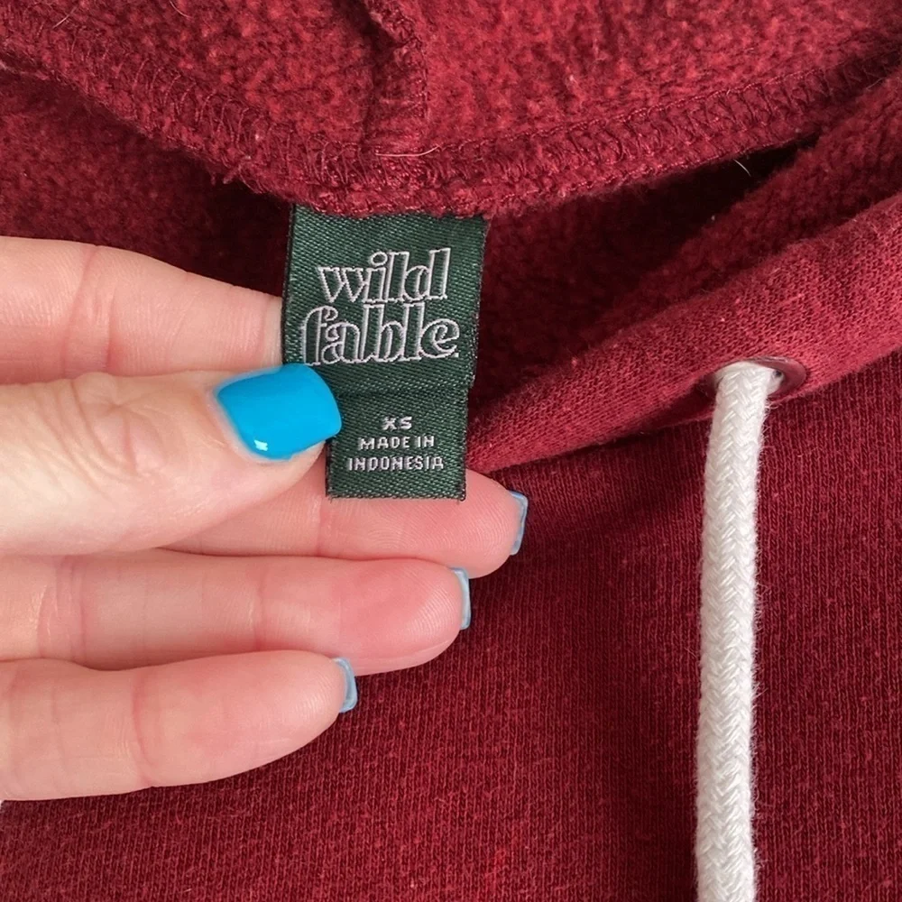Wild Fable Red Cropped Hooded Sweatshirt | Size XS | Red - Picture 3 of 10